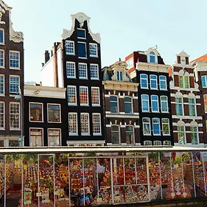 Of The Ámsterdam